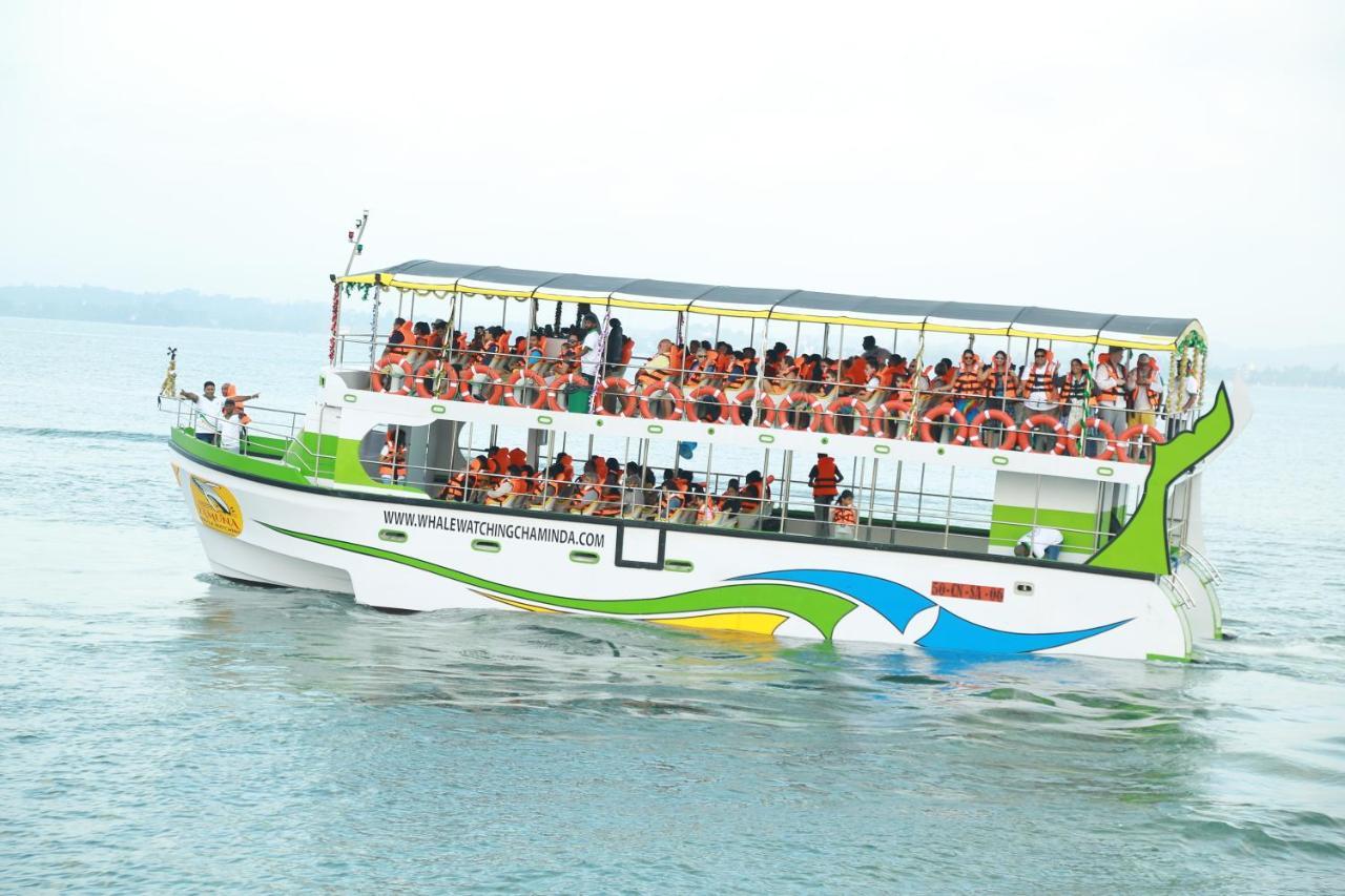 Sun Bird Eco Guest Mirissa Otel Dış mekan fotoğraf