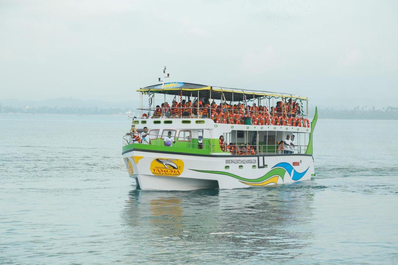 Sun Bird Eco Guest Mirissa Otel Dış mekan fotoğraf